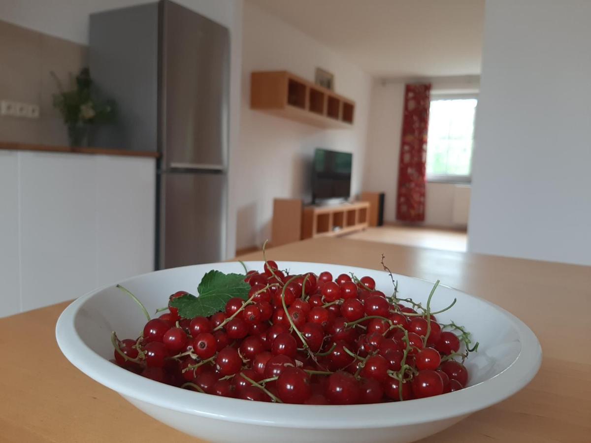 Apartmán Dvořák 194 pod Svatou horou Příbram Exterior foto