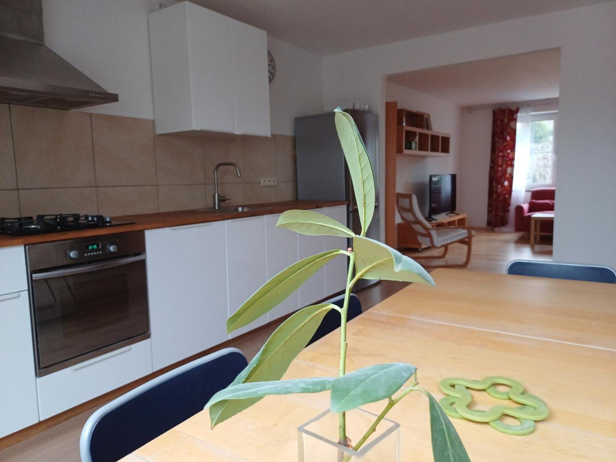 Apartmán Dvořák 194 pod Svatou horou Příbram Exterior foto
